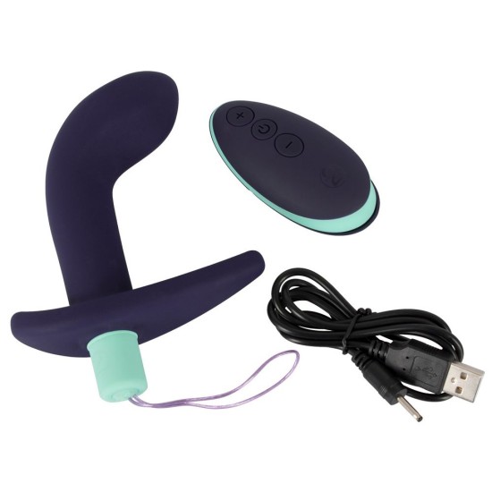 Remote Controlled Prostate Plug