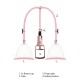 Pumped Breast Pump Medium Rose Gold