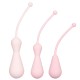 Inspire Weighted Silicone Kegel Training Kit