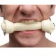 Master Series Silicone Dog Bone Gag